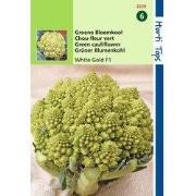 2 stuks - Bloemkool Minaret, Groene Romanesco