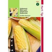 2 stuks - Suikermais Golden Bantam