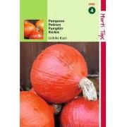 2 stuks - Pompoenen Oranje Zon