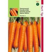 2 stuks - HT Wortelen Nantes - 2 Halflange