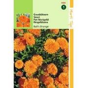 2 stuks - Calendula officinalis Dubbelbl. Ball s Oranje