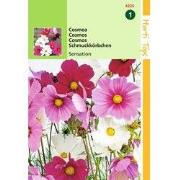 2 stuks - Cosmos Sensation Gemengd