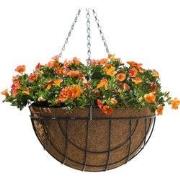 2 stuks - Hanging basket metaaldraad groen geepoxeerd incl. ketting H2...