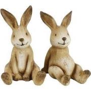 Haas Kevin 9.3x8.3x14.2 cm bruin a2