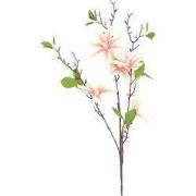 Magnolia kunststof 15x12x83 cm wt