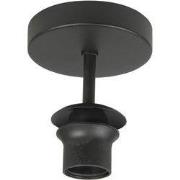 Highlight - Fantasy Apple - Plafondlamp - E27 - 12 x 12  x 10cm - Zwar...