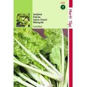 2 stuks - Snijbiet Lucullus