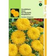 2 stuks - Calendula Officinalis Golden Emperor Goudgeel