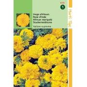 2 stuks - Tagetes Erecta Yellow Supreme Fl.Pl.