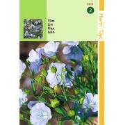 5 stuks - Linum Perenne (Vlas) blauw
