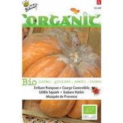 5 stuks - Organic Pompoen Musquee de Provence (Skal 14275)