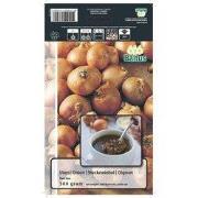 2 stuks - Zomer Bloembollen Uien Red Sun (per 500 gram)