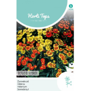 Zaden coreopsis tinctoria half-hoog gemengd 0.25 gram