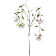 Dishgyi hanging spray x4 peach 150 cm