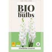 Bloembol bio gladiolus essential bloembol