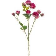 Rose mini spray beauty 65 cm Emerald