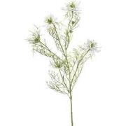 Nigella spray white 68 cm