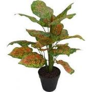 Rohdea in pot 45 cm kunstplant