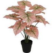 Caladium pink- 50 cm kunstplant
