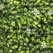 Kunstplanten mat 50x50 cm buxus jasmijn