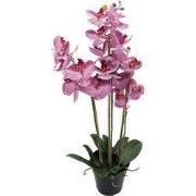Phalaenopsis Orchidee in pot x3 60 cm Tiger Cerise kunstplant