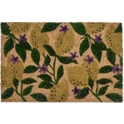 TAZLINA - Deurmat - Meerkleurig - 40 x 60 cm - Kokos