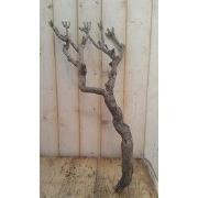 Decoratie tak groot 40 tot 60 cm