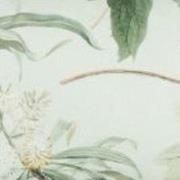 Sierkussen ca. 30x50 cm Grasse green natural outdoor finishing (4 stuk...