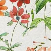 Sierkussen 50x50 cm Milly Natural (4 stuks)