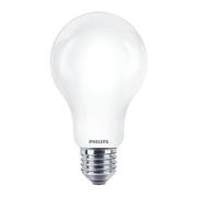 PhilipsPhilips - Lichtbron LED 17,5W (2452lm/150W) E27