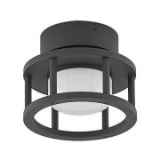 Lucande - Berenike Buiten Plafondlamp Dark Grey