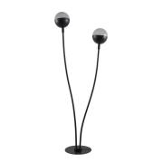 Lucande - Dustian 2 Vloerlamp Black