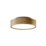 LIGHT-POINT - Shadow 1 Plafondlamp IP54 2700/3000K Brass