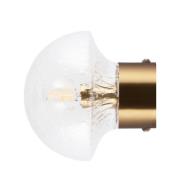 Globen Lighting - Fungo 16 Wandlamp/Plafondlamp IP44 Helder/Geborsteld...