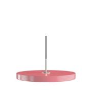 UMAGE - Asteria Plus Hanglamp Medium Nuance Rose/Staal Top