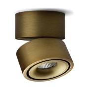 ANTIDARK - Easy W100 LED Opbouwspot Brushed Brass