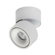ANTIDARK - Easy W100 LED Opbouwspot 2700K High Power White