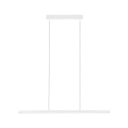 Paulmann - Lento LED Pendant TW Zigbee Dim. Matt Wit