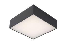Lucide Roxane - plafondverlichting - 24 x 24 x 7,1 cm - 10W LED incl. ...