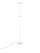Nova Luce Sinkro - vloerlamp - 25 x 180,6 cm - 30W dimbare LED incl. -...