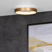 Lucide Vidal - plafondverlichting - Ø 28 x 6 cm - 21W LED incl. - mat ...